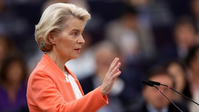 Kommisionen undersöker vargfrågan, något som sätts i samband med att ordförandens ponny dödades av en varg. Foto: Jean-Francois Badias/TT 