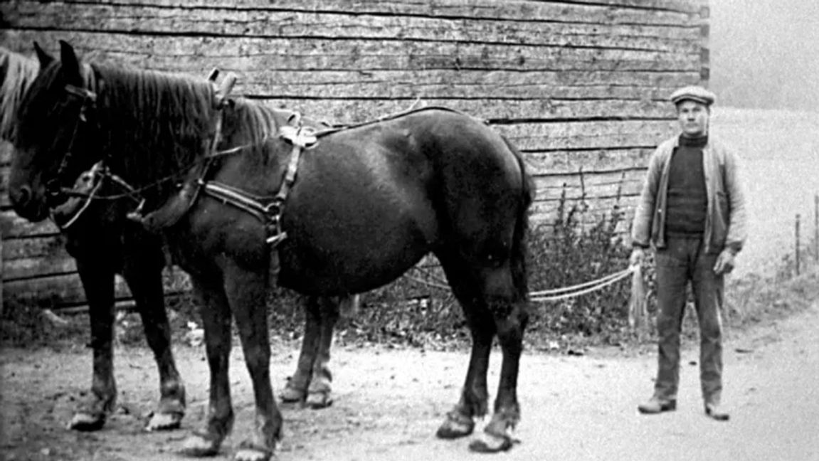 Drängen Bertil i Sörgården, Älgarås omkring 1920 Foto: Västergötlands museum