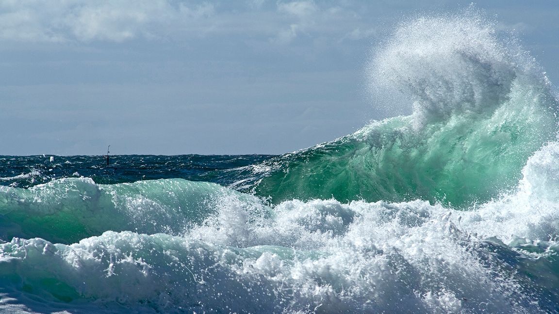 Foto: Frederic Täckström/Stilbildarna i Mölle.