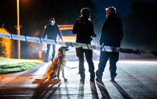 Polis, kriminaltekniker och specialsökhund på plats i ett villaområde i centrala Skurup i augusti. En man i 50-årsåldern sköts ihjäl i sitt hem. Arkivbild. Foto: Johan Nilsson/TT