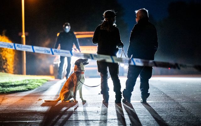 Polis, kriminaltekniker och specialsökhund på plats i ett villaområde i centrala Skurup i augusti. En man i 50-årsåldern sköts ihjäl i sitt hem. Arkivbild. Foto: Johan Nilsson/TT