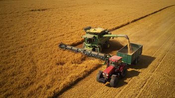 Foto: Andreas Hillergren/TT