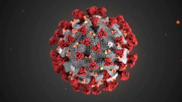 Illustration av coronaviruset från the Centers for Disease Control and Prevention. Foto: CDC via AP/TT