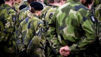 Foto: Johan Nilsson/TT