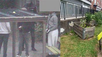 De misstänkta männen och trälådan där vapnet förvarades. Foto: Polisen