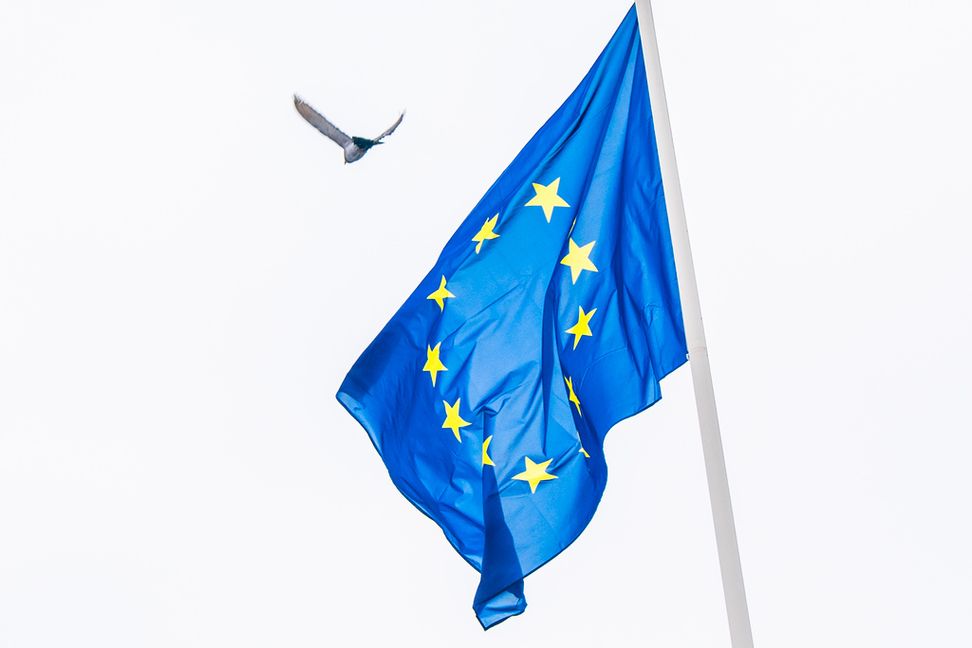 En EU-flagga i Köpenhamn. Arkivbild. Foto: Ida Marie Odgaard/Ritzau/TT