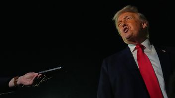 Foto: Julia Demaree Nikhinson/AP/TT