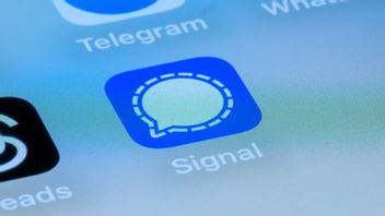 Signalappen har blivit alltmer populär, även inom Försvarsmakten – men kan försvinna från Sverige om regeringens datalagringskrav antas. Foto: TT