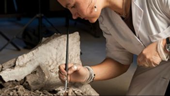 Rita Peyroteo Stjerna, forskar på de mesolitiska skelett som hittades under 1950-1960-talen, på Museu Nacional de Arqueologia de Lisboa.Foto: José Paulo Ruas