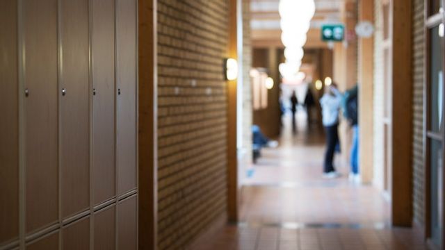 Genrebild. Foto: Viktoria Bank/TT