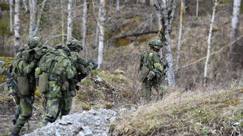 Pontus Lundahl/TT
Andelen Nato-motståndare i Sverige minskar, enligt en ny opinionsundersökning. Arkivbild.