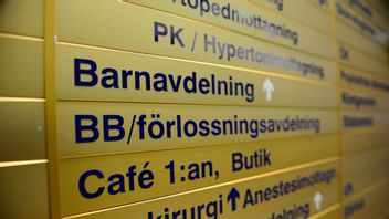 Genrebild. Foto: Izabelle Nordfjell/TT