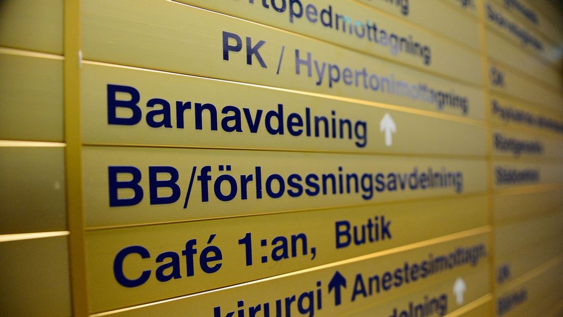 Genrebild. Foto: Izabelle Nordfjell/TT