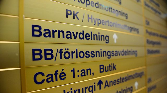 Genrebild. Foto: Izabelle Nordfjell/TT