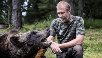 Björnjakten utökas i Gävleborg
