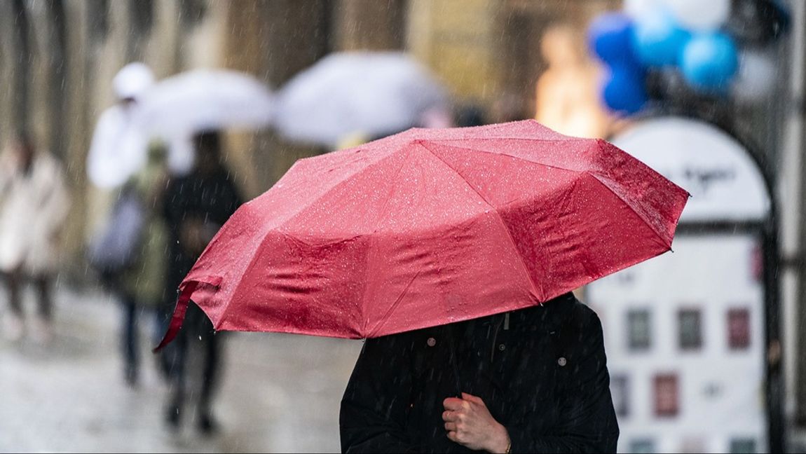 Närmare 4 millimeter regn på bara en minut – senaste regnrekordet i Sverige. Arkivbild. Foto: JOHAN NILSSON/TT