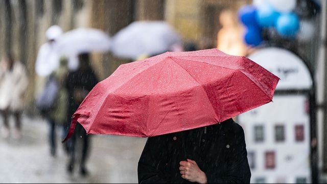 Närmare 4 millimeter regn på bara en minut – senaste regnrekordet i Sverige. Arkivbild. Foto: JOHAN NILSSON/TT