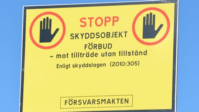 Genrebild. Foto: Bengt Oberger, CC BY-SA 4.0 <https://creativecommons.org/licenses/by-sa/4.0>, via Wikimedia Commons