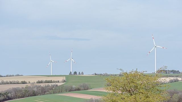 Tysk och dansk vindkraft och även solceller bidrog till att elpriste blev negativt i hela Norden i söndags eftermiddag. Foto: Flocci Nivis, Wikicommons