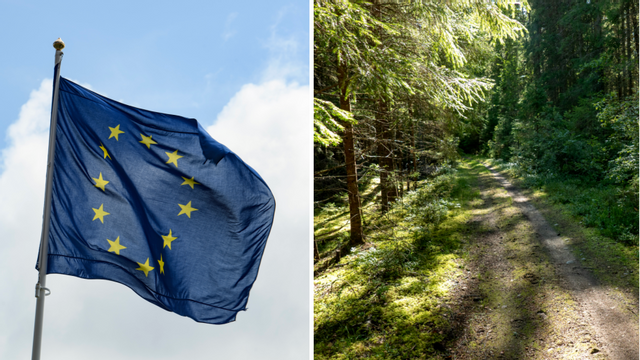 Foto: Pontus Lundahl/Gabriella Bruske/TT