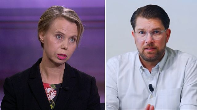 Anne Lagercrantz är fortsatt kritisk till Jimmie Åkessons uttalanden. Foto: SVT/Youtube