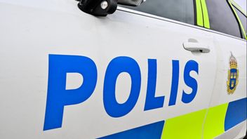 En nioårig flicka har misshandlats brutalt i Skellefteå. Foto: Mikael Fritzon/TT