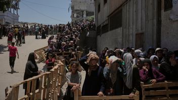 Hamas kontrollerade länge biståndet till Gaza. Foto: Jehad Alshrafi / TT