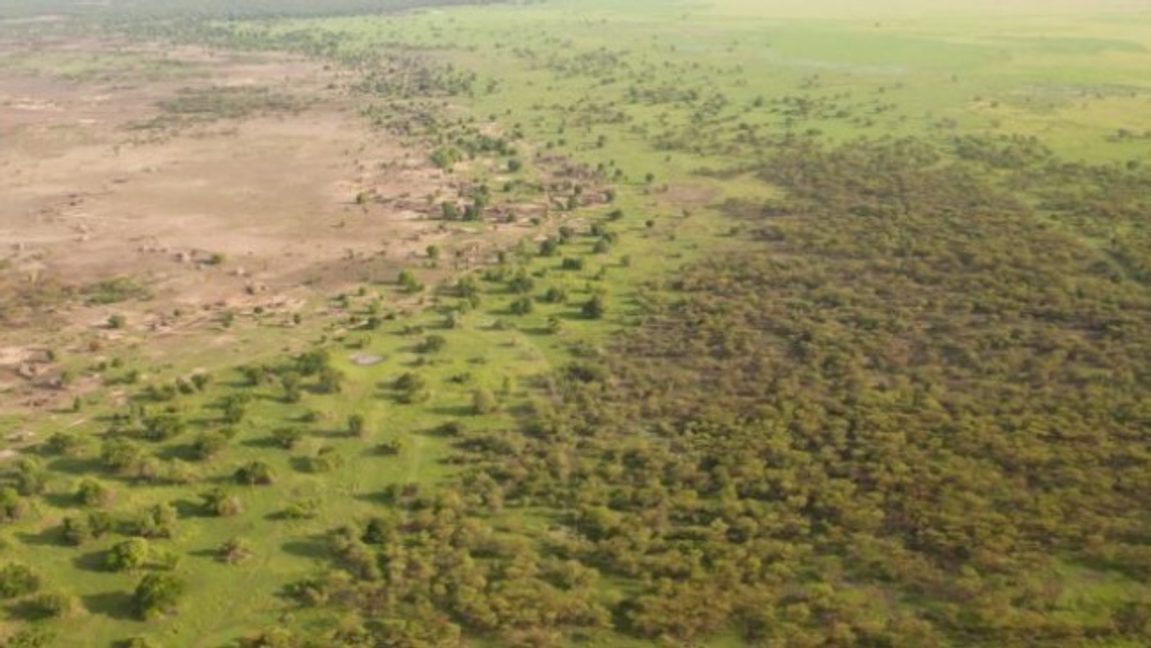 ”Den gröna muren” som ska stoppa Sahara-öknens utbredning. Bild: Foto di Agenzia Dire/CC BY-SA 4.0