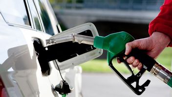 Arkivbild. Foto: Pontus Lundahl/TT