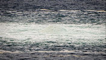 Ryssland vill delta i utredningen om gasläckan i Nord Stream. Foto: Danska Forsvaret