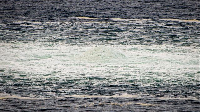 Ryssland vill delta i utredningen om gasläckan i Nord Stream. Foto: Danska Forsvaret