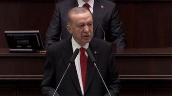 Recep Tayyip Erdoğan talar inför Turkiets parlament i går. Foto: Skärmavbild Youtube/ Sky News