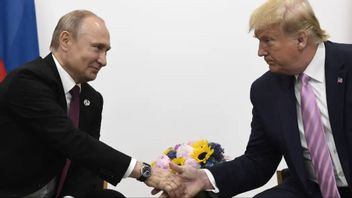 Putin och Trump på G20-mötet 2019. Nu har relationen blivit mycket frostigare. Foto: Susan Walsh/AP/TT