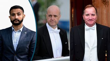 Reinfeldt och Löfven – tveksamma fadersfigurer? Foto: Mårten Eklöf / Erik Mårtensson/Jonas Ekstromer/TT