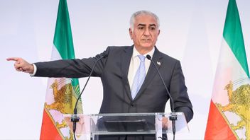 Reza Pahlavi säger att demonstrationerna inspirerar honom. Foto: Thomas Padilla/AP/TT