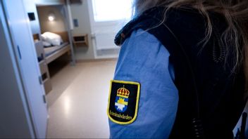 Rekordmånga bakom galler - 8 206 personer satt i fängelse i oktober 2024. Foto: Pontus Lundahl/TT.