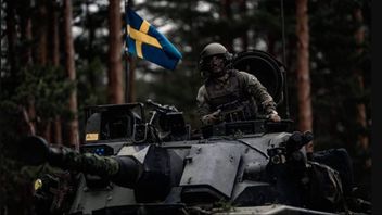 Svenska soldater från P7 under NATO-övningen Oak Resolve 25 i Lettland. Foto: Press/Försvarsmakten