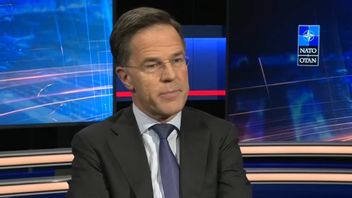 Mark Rutte. Foto: Skärmdump/Youtube