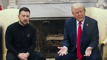 Volodymyr Zelenskyj och Donald Trump i Vita huset förra veckan. Foto: Mystyslav Chernov/AP/TT