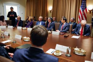 Elon Musk talar under president Trumps regeringsmöte i Vita huset. Foto: Pool via AP/TT