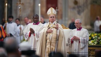Påve Leo XIV är orolig för att en liten grupp människor har kontroll över algoritmerna. Foto: Andrew Medichini/AP/TT