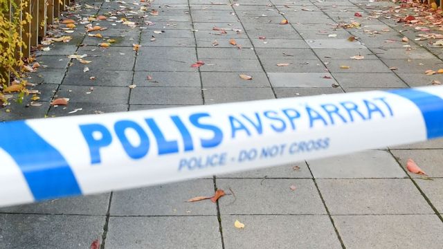 Arikvbild Foto: Henrik Montgomery/TT