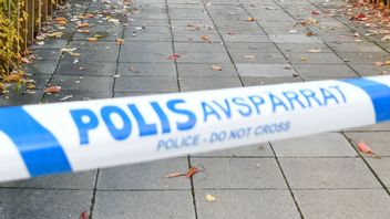 Arikvbild Foto: Henrik Montgomery/TT