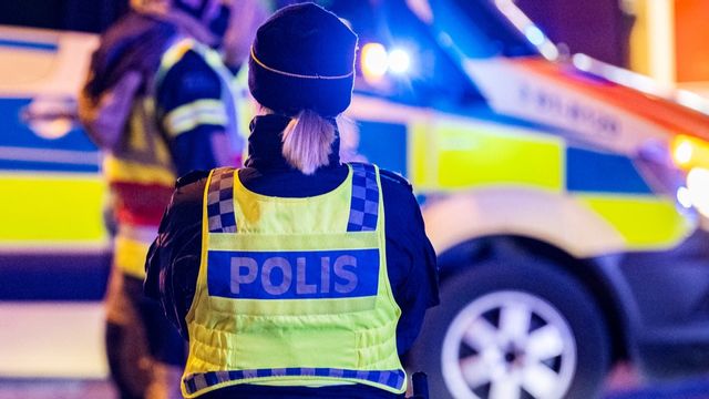 Foto: Johan Nilsson/TT (arkivbild)
