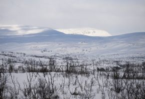Vind i kombination med snöfall ställer till det för den som tänkt ge sig ut på en fjälltur på juldagen. Arkivbild. Fredrik Sandberg/TT