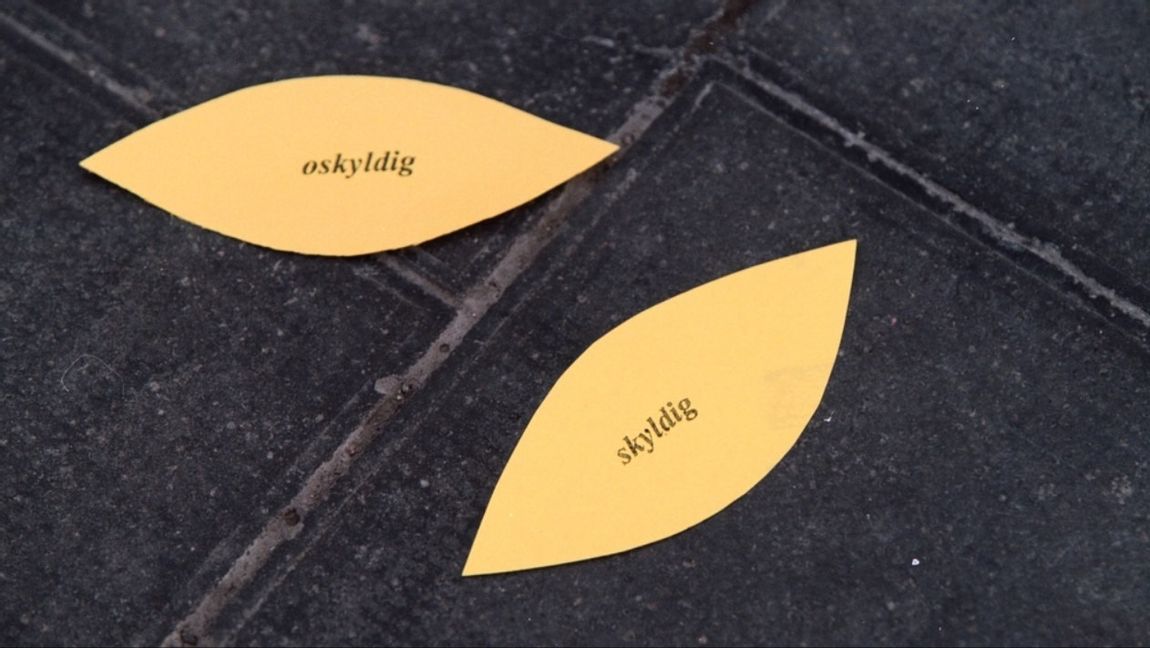 När det gäller våldtäktsmål har det svenska rättsväsendet svårt att uttala bokstaven ”O”. Foto: Björn Larsson / TT