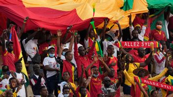 Bild på Guinea-supportrar under en match från 2022. Arkivbild. Foto: Themba Hadebe/AP/TT