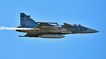 Jas 39 Gripen ska försvara Island och Grönland. Foto: Jonas Ekströmer/TT