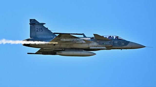 Jas 39 Gripen ska försvara Island och Grönland. Foto: Jonas Ekströmer/TT