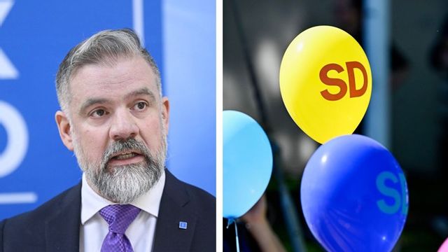 Johan Ingerö, före detta partisekreterare för Kristdemokraterna, menar att SD:s framgångar speglar en långsiktig demografisk trend. Foto: Fredrik Sandberg/TT/Anders Wiklund/TT